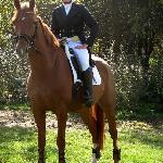 Rheago