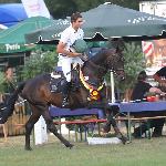 Kros<br /><i>fb Trakehner Verband e.V.</i>