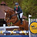 Golden King - Glinik Zaborowski 2015<br />&copy; Klaudia Lorenc