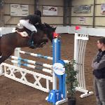 Hallo Doolin B ex Julus