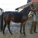 Eter