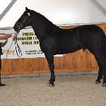 Wulkan - IX RWZH Zakrzów 2014<br />&copy; Katarzyna Komandera