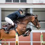 Alo Varo P<br /><i>https://pbhorses.pl/konie/</i>