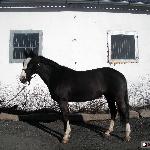 Multistar Scan / Micha