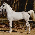 Dostatok - Marzec 2014<br />&copy; Lidia Pawłowska
