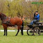 Atena Ałła (Atena-Ałła) - Książ 15-16 kwietnia 2011<br />&copy; Paulina Peckiel www.peckiel.pl