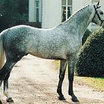 Clinton II / Clinton H