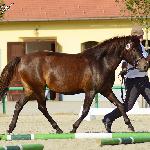 Jugla - Topolczanki 3-4 września 2016<br />&copy; Paulina Peckiel www.peckiel.pl