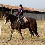 Pakero