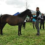 Juwenalia - Nowa Łomnica 2014