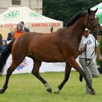 Ashanti