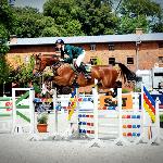Parco L - 2014 r<br />&copy; bazakoni.pl