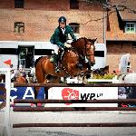 Parco L - 2014 r<br />&copy; bazakoni.pl