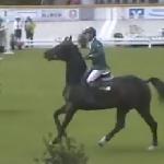 Digisport Callista