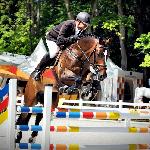 Once Again ex Oki Doki-W - 2014 r<br />&copy; bazakoni.pl