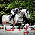 Corana's M&M - 2014 r<br />&copy; bazakoni.pl