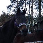 Lomar (ex Start)<br />&copy; Martyna Januszewicz
