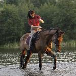 Lomar (ex Start)