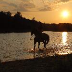 Lomar (ex Start)