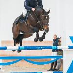 Naccord Melloni ex. Encore Nabab<br />&copy; Oliwia Chmielewska - chmielewskafoto.pl