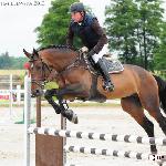 Naccord Melloni ex. Encore Nabab<br />&copy; Oliwia Chmielewska