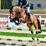 Naccord Melloni ex. Encore Nabab