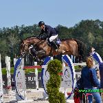 Naccord Melloni ex. Encore Nabab<br /><i>fb KadraSkoki.pl</i>