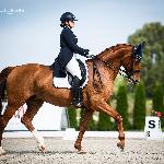Dolce Vita<br />&copy; Julia Świętochowska<br /><i>http://stajniapegaz.com/pegaz-team/mistrzostwa-polski-w-ujezdzeniu-2020/attachment/ola1/#main</i>
