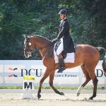Bob the Builder (Breezer)<br />&copy; Karolina Wapińska /equista.pl