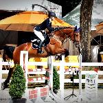 Edesso - 2014 r<br />&copy; bazakoni.pl