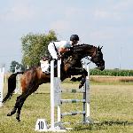 Homerun - Festiwal Jeździecki Baborówko 2014<br />&copy; Baza Koni