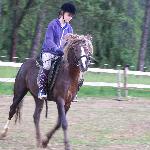 Poter