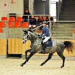 Calicost - 2014<br />&copy; Baza Koni