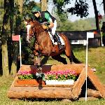 Firefly - 2014<br />&copy; Baza Koni