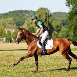 Firefly - 2014<br />&copy; Baza Koni