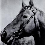 Don Carlos
