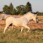 Bazus - Bazus 3<br />&copy; Judyta Krawiec