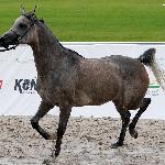 Alpina - sierpień 2018<br />&copy; Anna Pyzara-Nakoniechnaia