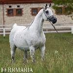 Ferrmaria<br />&copy; Stuart Vesty