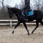 Klaser (nazywany Kianto Black)<br />&copy; Nell Piotrowska