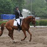 Ballantines - ZR-A Reda 2014<br />&copy; Baza Koni