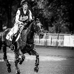 Moonshine<br />&copy; Alicja Cybulska / M&R Photo<br /><i>fb Equestrian Festival Baborówko</i>