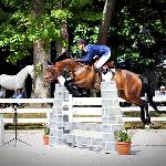 Domingo S ex Tip Top 28 - 2014 r<br />&copy; bazakoni.pl
