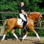 Golden Dancer B