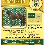 Sommerhit