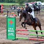 Neron<br /><i>https://www.ehorses.pl/kon-wielkopolski-walach-10lat-168-cm-skarogniada-konie-skokowe-konie-rekreacyjne-goraj/4019255.html</i>
