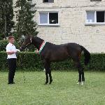 Edam