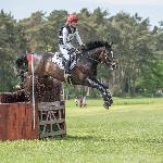 Fantastic Frieda<br />&copy; M&R Photo<br /><i>fb Equestrian Festival Baborówko</i>