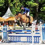Casalina - 2014 r<br />&copy; bazakoni.pl