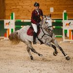 Bolgheri ZK<br /><i>https://dzienniklodzki.pl/mlodzi-jezdzcy-klubu-jezdzieckiego-horseprofi-w-lodzi-odnosza-coraz-wieksze-sukcesy-zdjecia/gh/c2-15283948</i>